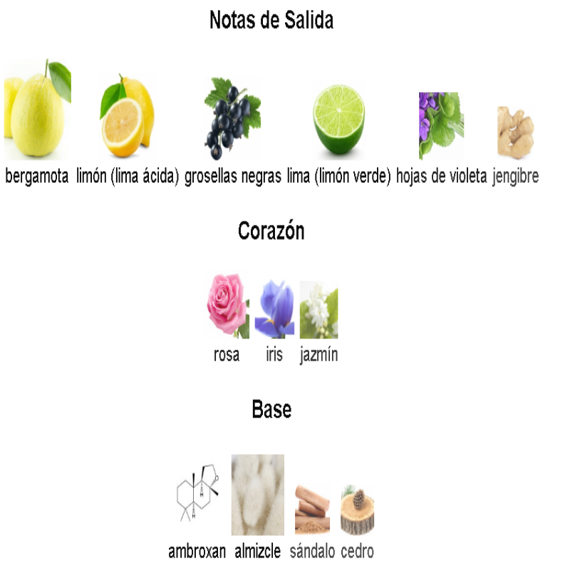 CLUB DE NUIT SILLAGE 105ml